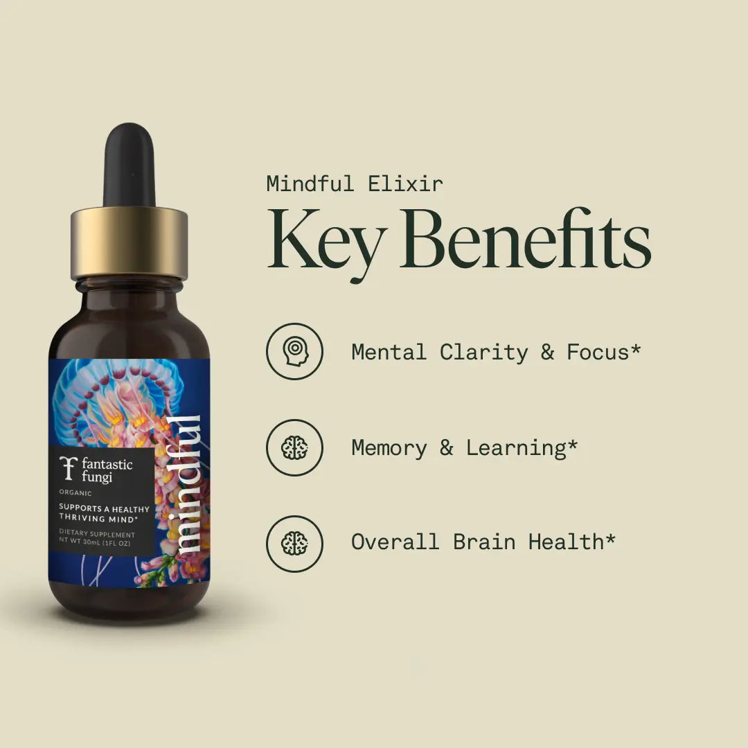 Mindful Elixir — Organic Lion’s Mane, Bacopa & Ginkgo Extract