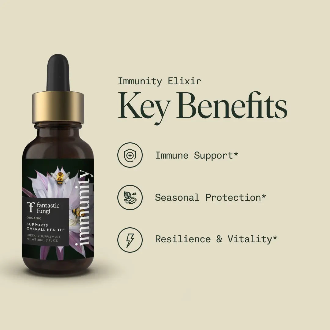 Organic Mushroom Immune Support Elixir | Chaga, Maitake & Astragalus Blend