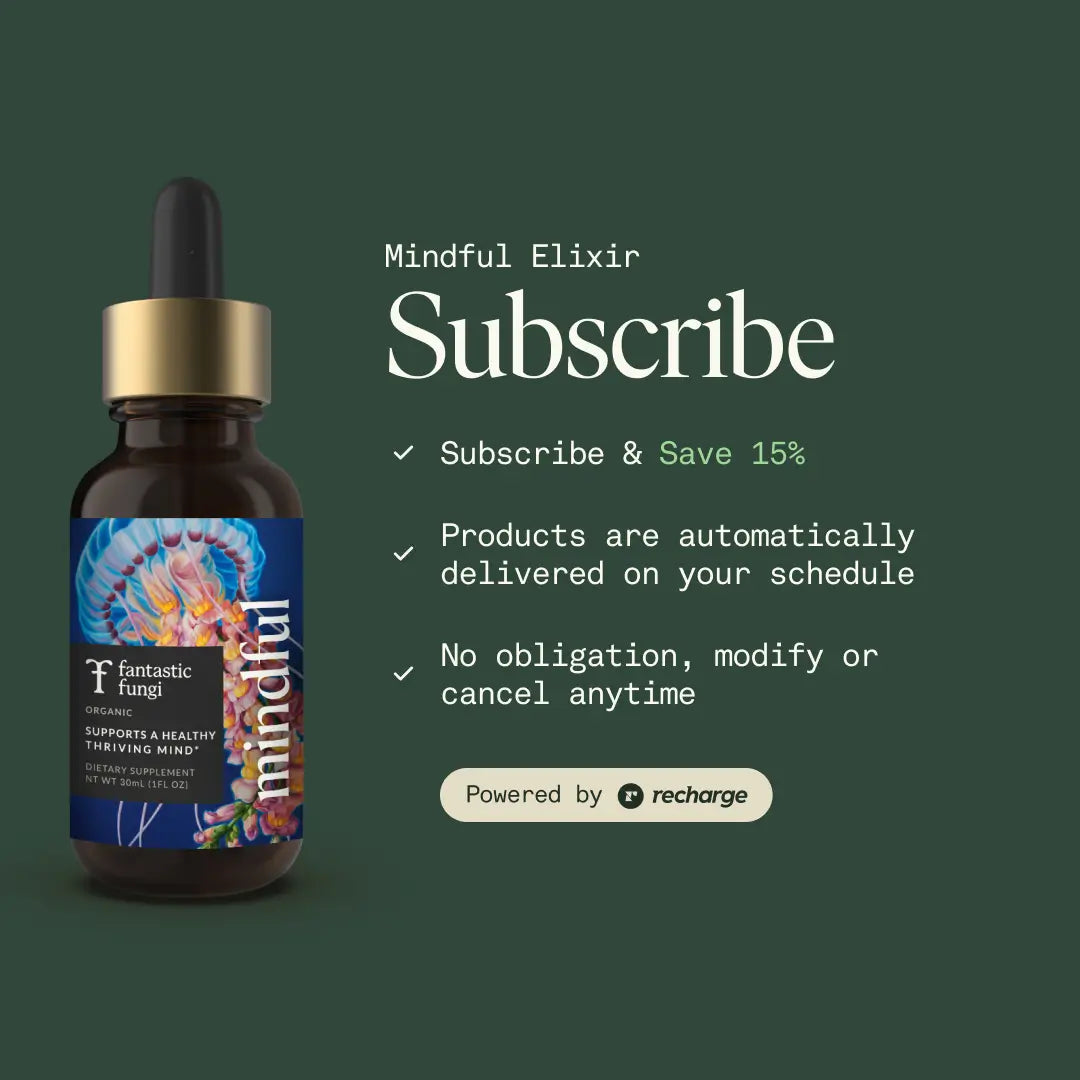 Mindful Elixir — Organic Lion’s Mane, Bacopa & Ginkgo Extract