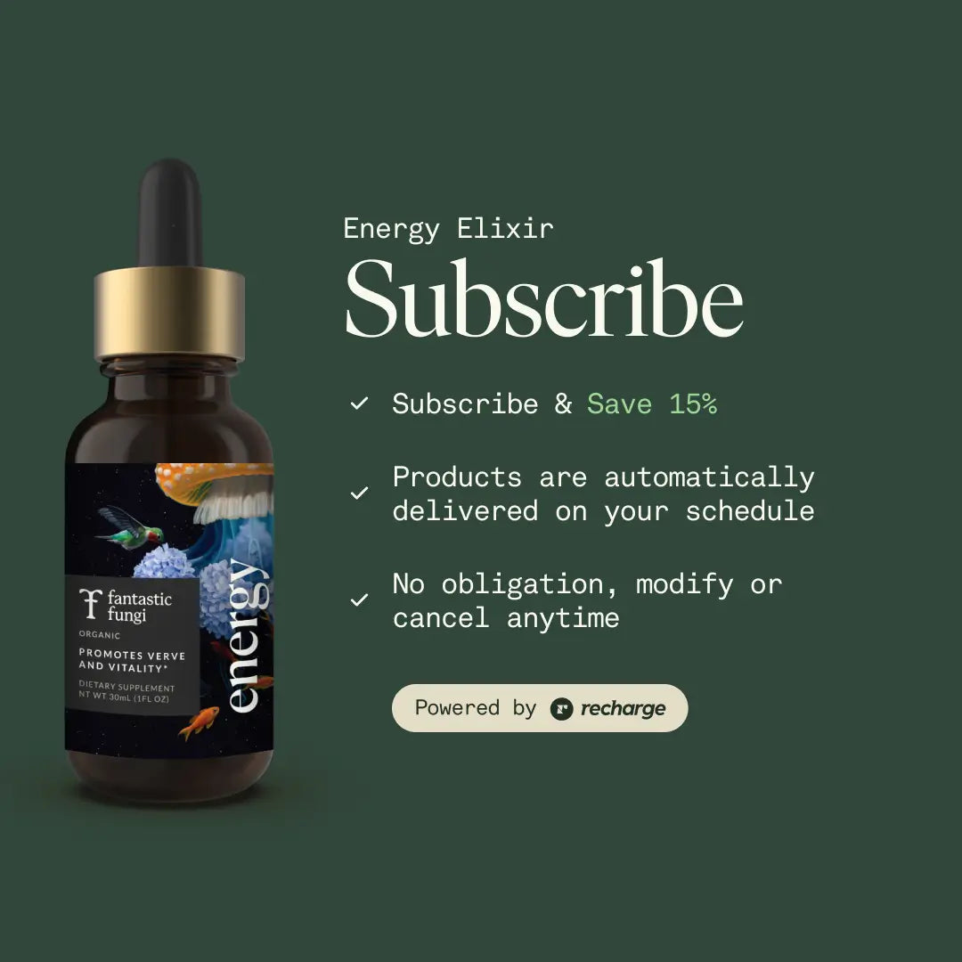 Energy Elixir — Organic Cordyceps, Ginseng, Turkey Tail & Rhodiola Extract