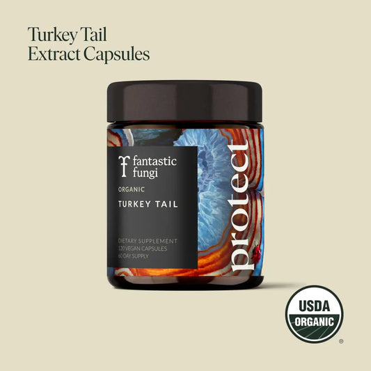 Protect Capsules — Organic Turkey Tail Extract for Immunity & Gut Health