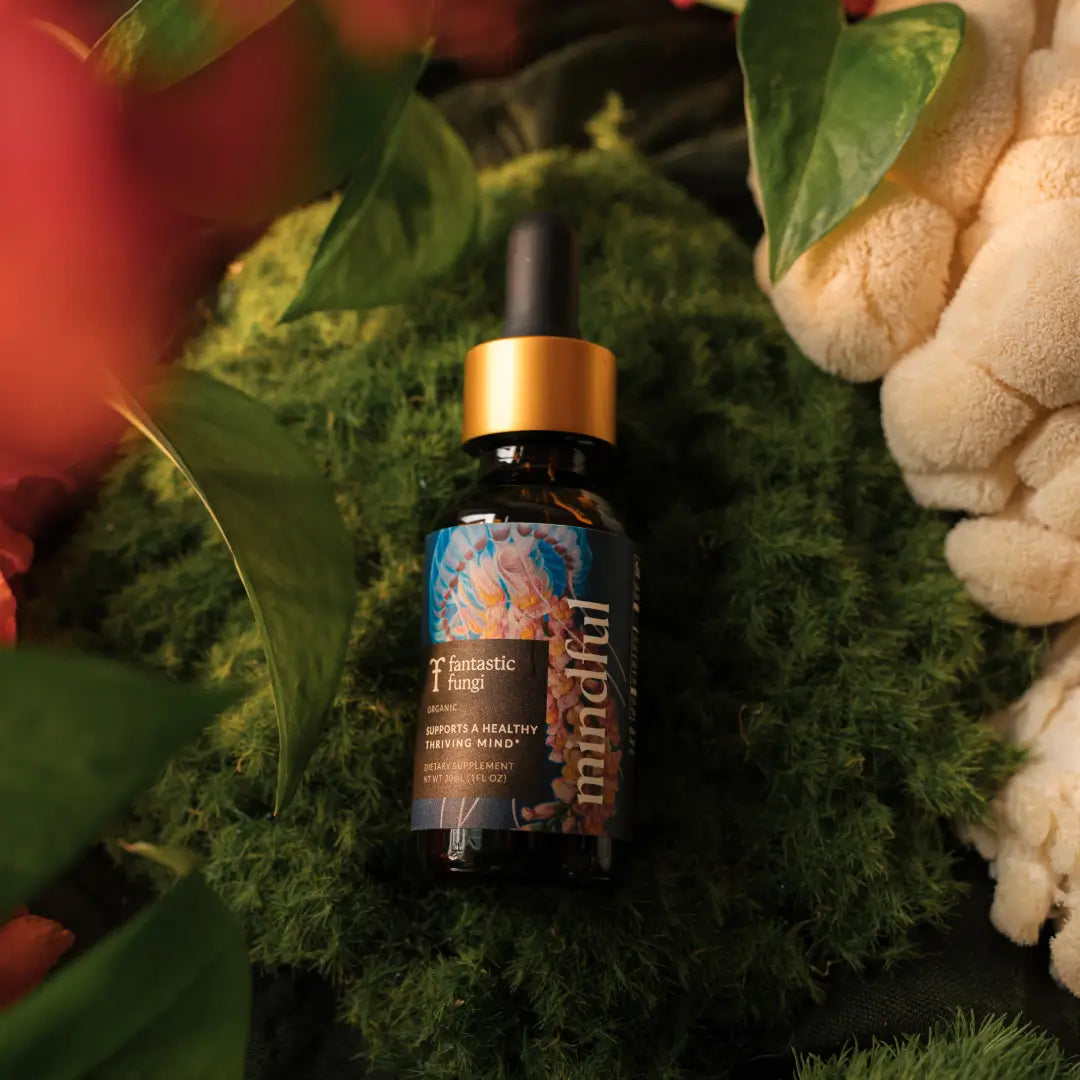 Mindful Elixir — Organic Lion’s Mane, Bacopa & Ginkgo Extract