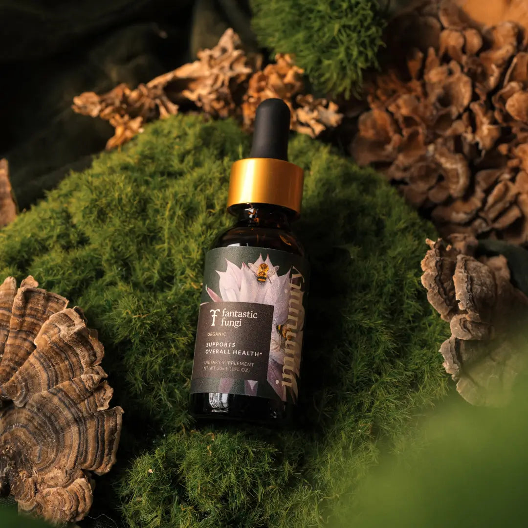 Organic Mushroom Immune Support Elixir | Chaga, Maitake & Astragalus Blend