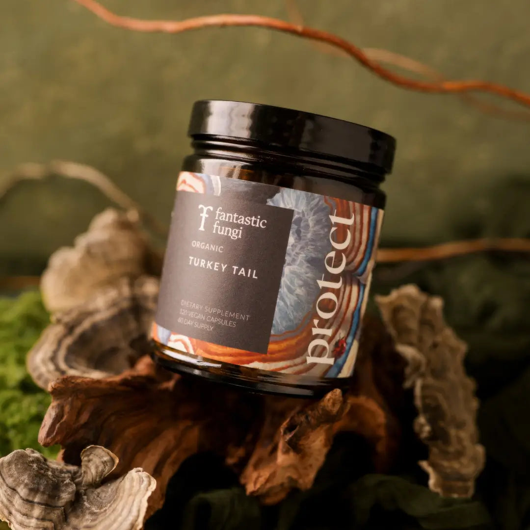 Protect Capsules — Organic Turkey Tail Extract for Immunity & Gut Health