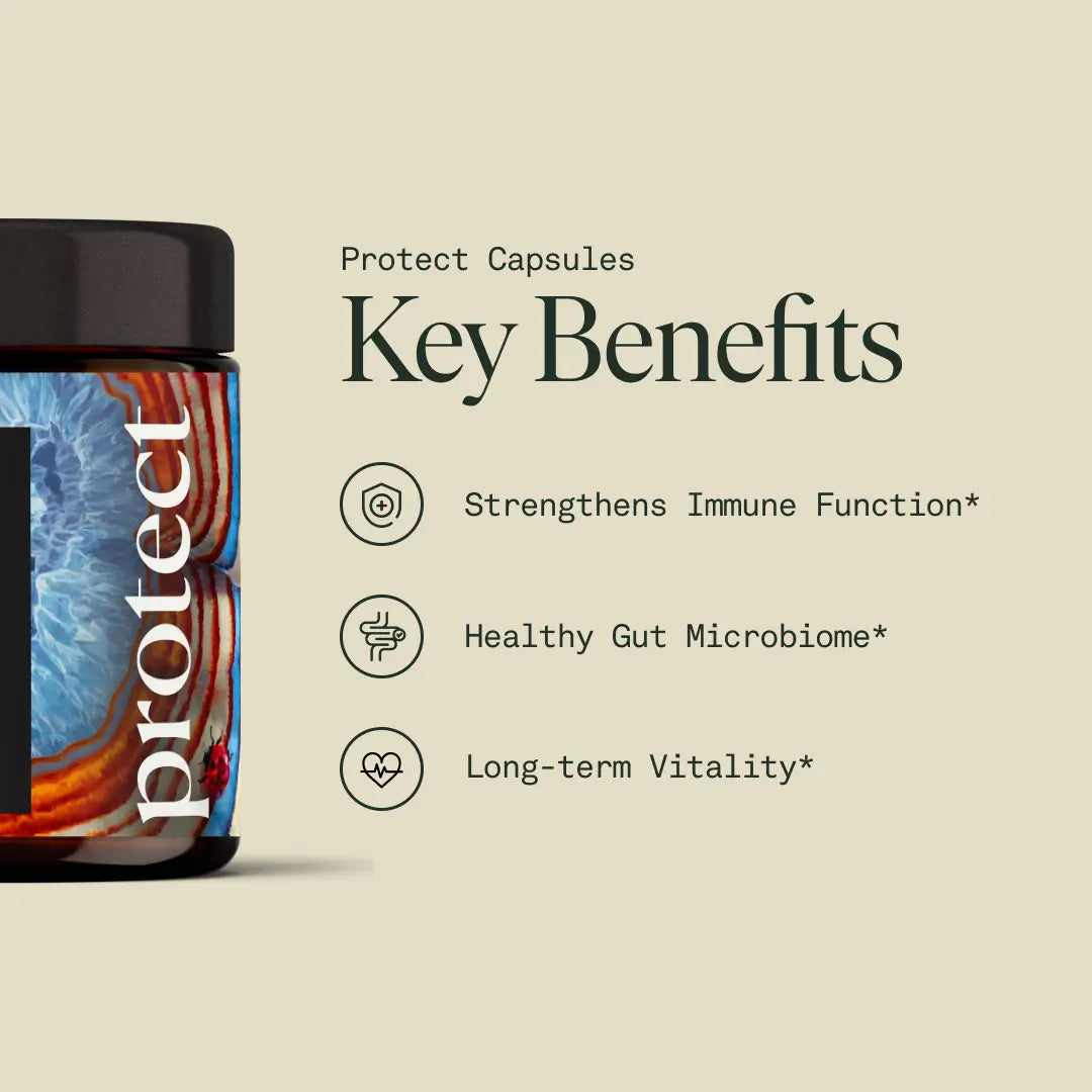 Protect Capsules — Organic Turkey Tail Extract for Immunity & Gut Health