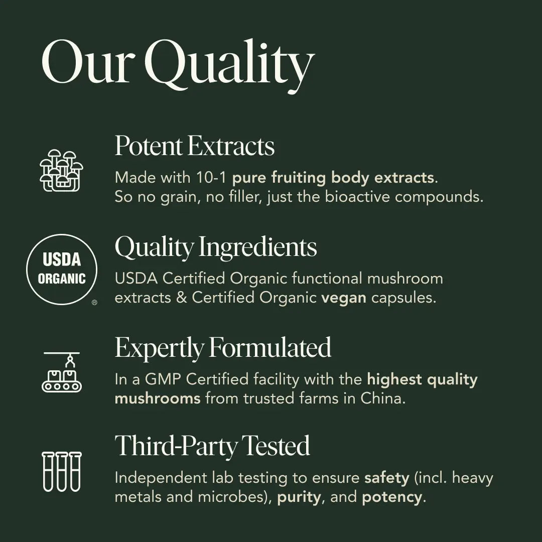 Protect Capsules — Organic Turkey Tail Extract for Immunity & Gut Health