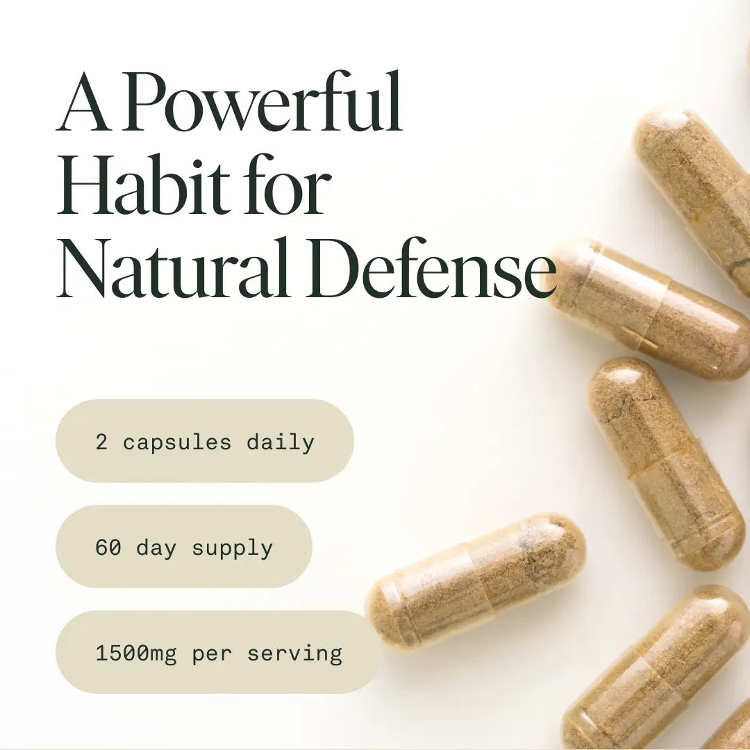 Protect Capsules — Organic Turkey Tail Extract for Immunity & Gut Health