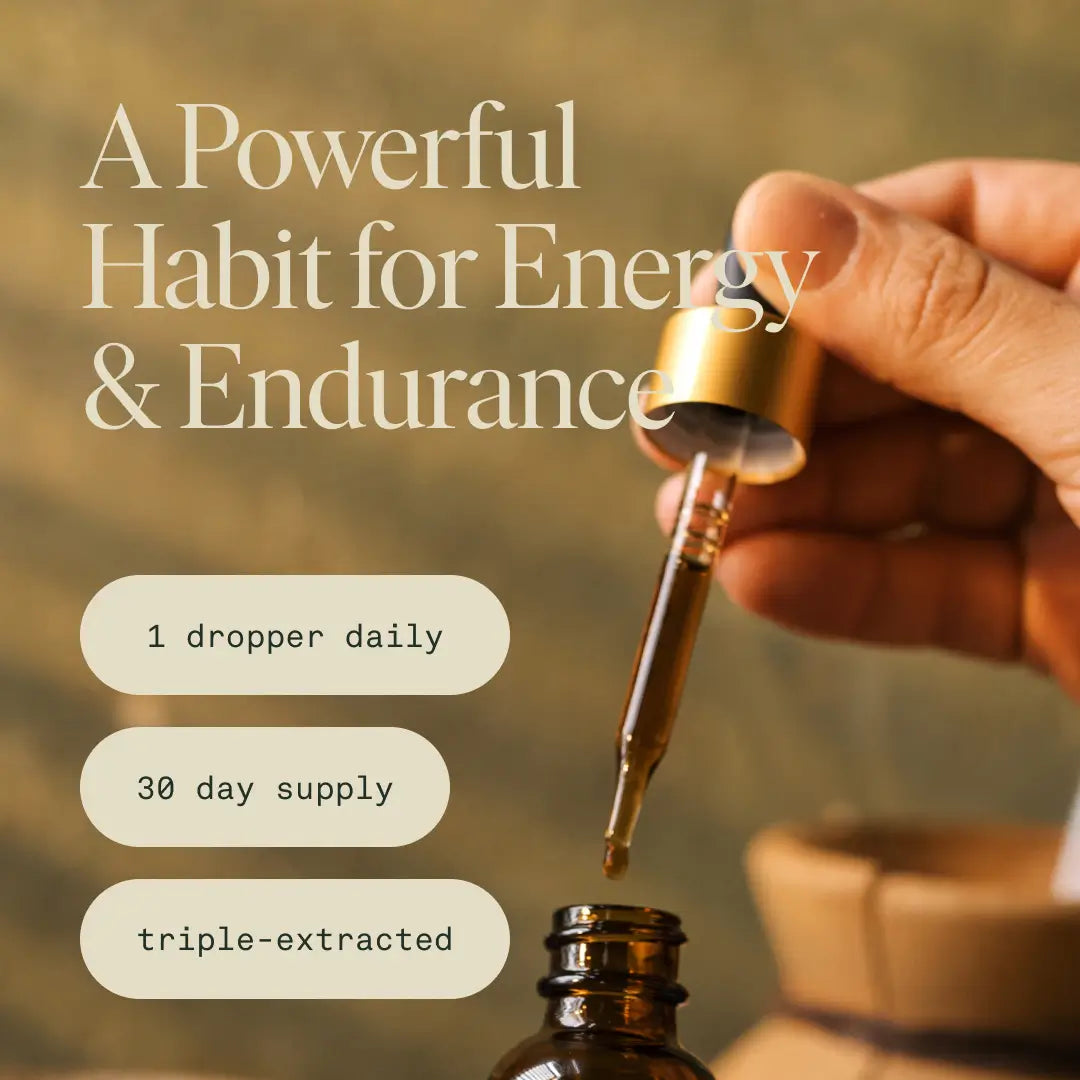 Energy Elixir — Organic Cordyceps, Ginseng, Turkey Tail & Rhodiola Extract