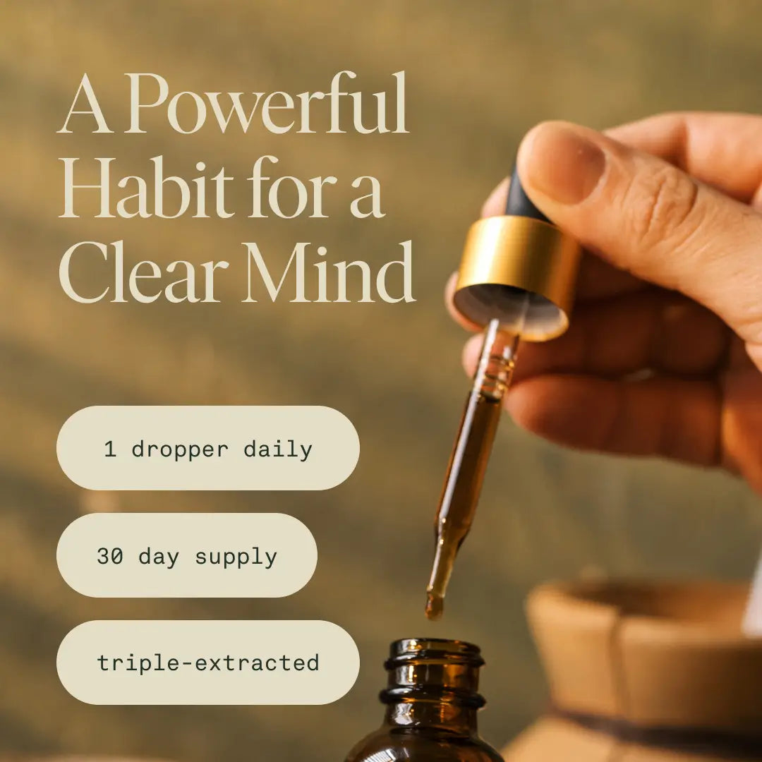 Mindful Elixir — Organic Lion’s Mane, Bacopa & Ginkgo Extract