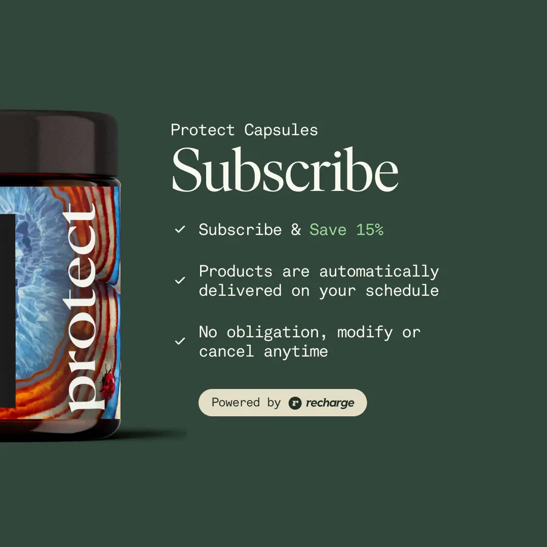 Protect Capsules — Organic Turkey Tail Extract for Immunity & Gut Health