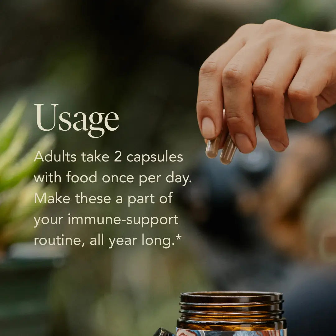 Protect Capsules — Organic Turkey Tail Extract for Immunity & Gut Health