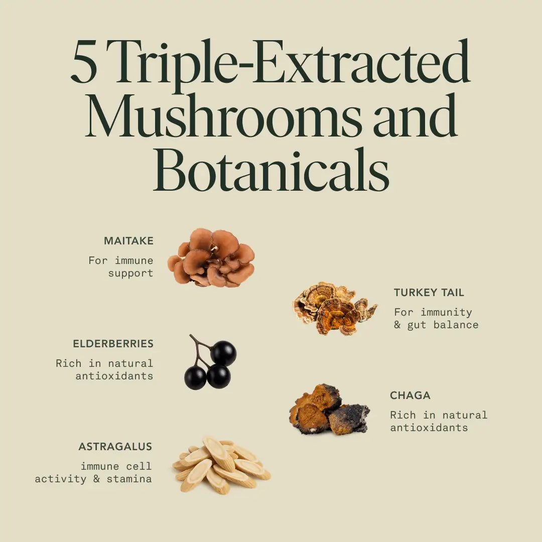 Organic Mushroom Immune Support Elixir | Chaga, Maitake & Astragalus Blend