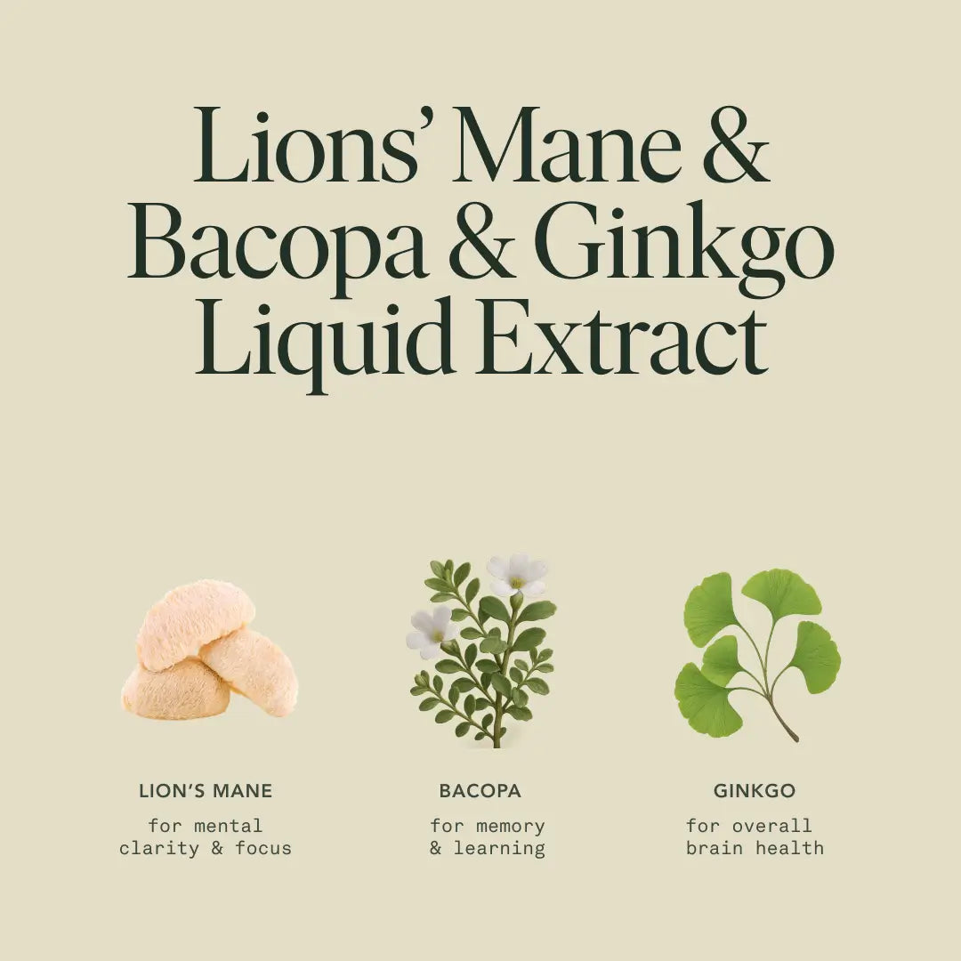 Mindful Elixir — Organic Lion’s Mane, Bacopa & Ginkgo Extract
