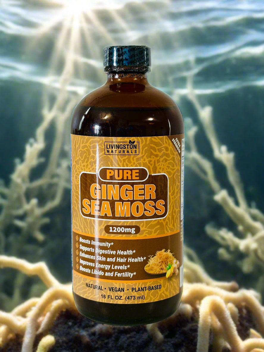 Livingston Naturals Ginger Sea Moss – Vegan liquid supplement with organic ginger and wildcrafted sea moss for digestion, immunity, and energy support