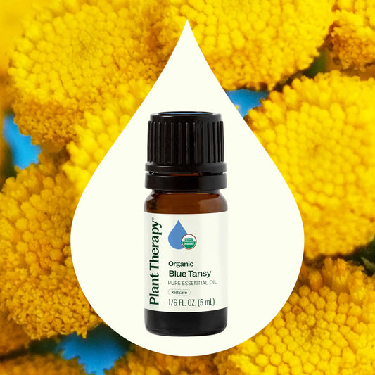 The Calming Power of Organic Blue Tansy Essential Oil
