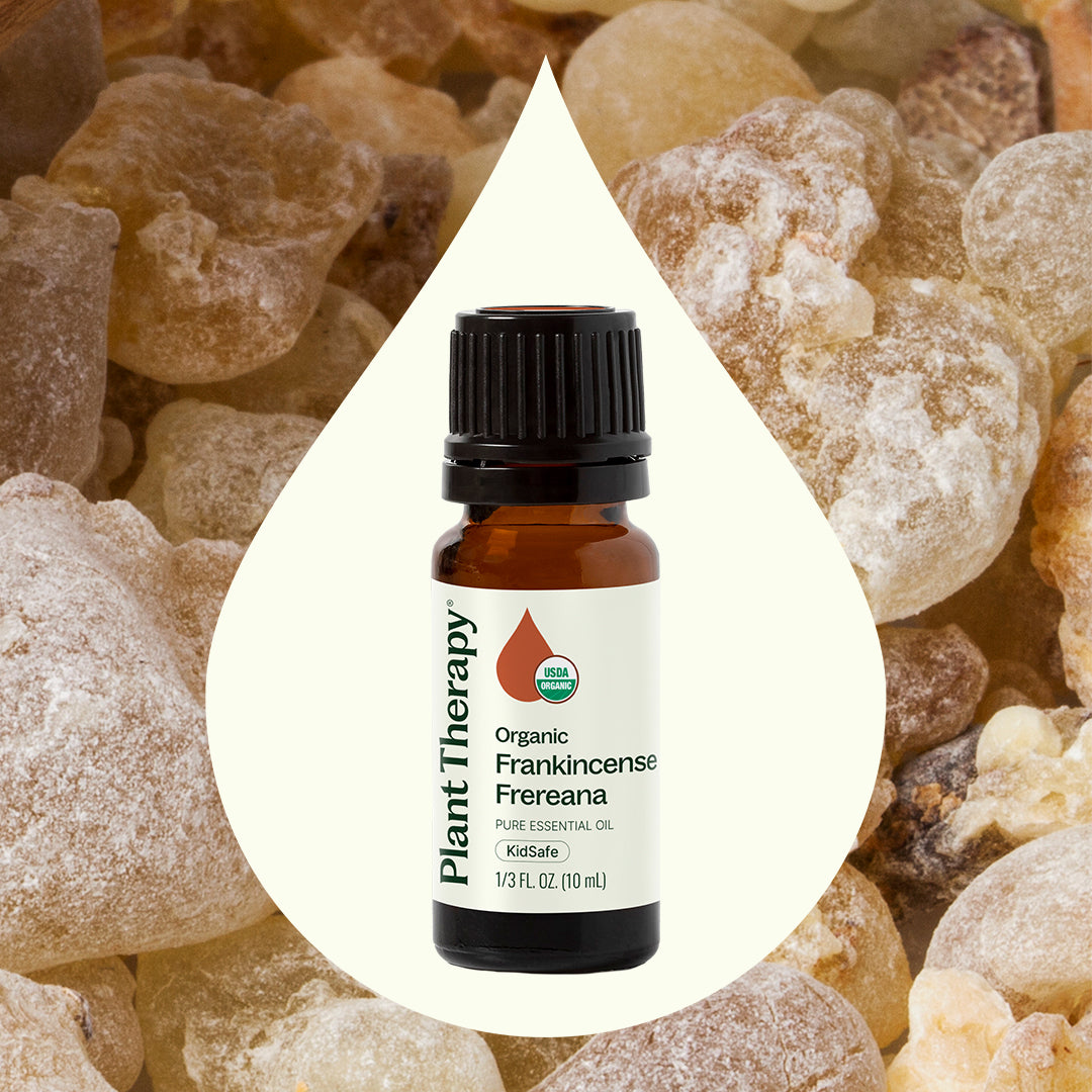 Organic Frankincense Frereana Essential Oil: Skin & Wellness