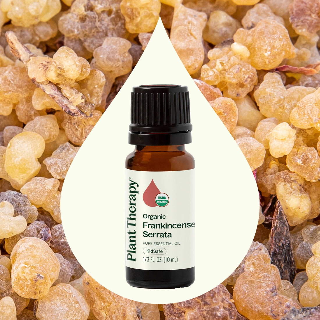 Organic Frankincense Serrata Essential Oil: Uses & Benefits