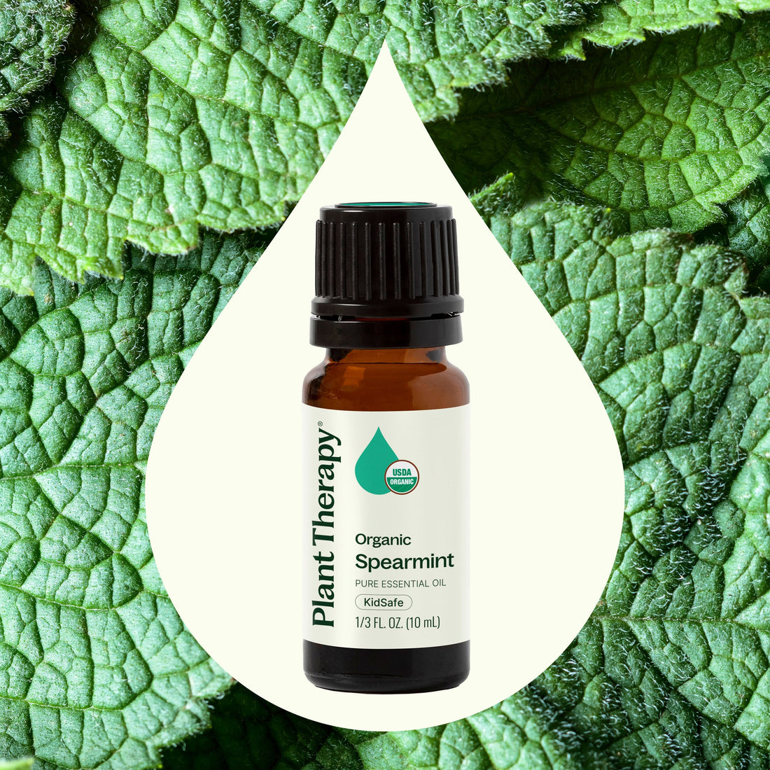 Organic Spearmint Essential Oil: Benefits and Uses