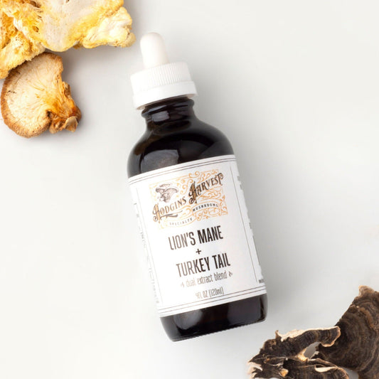 Lion's Mane + Turkey Tail Tincture: Benefits, How-To & Uses