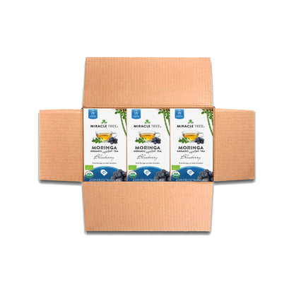 Organic Moringa Tea - Blueberry - Caffeine-Free Herbal Tea