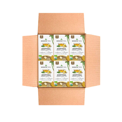 Organic Moringa Tea - Lemon & Ginger - Caffeine-Free Herbal Tea