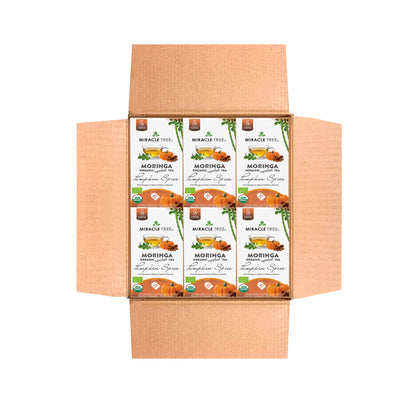 Organic Moringa Tea - Pumpkin Spice - Caffeine-Free Herbal Tea