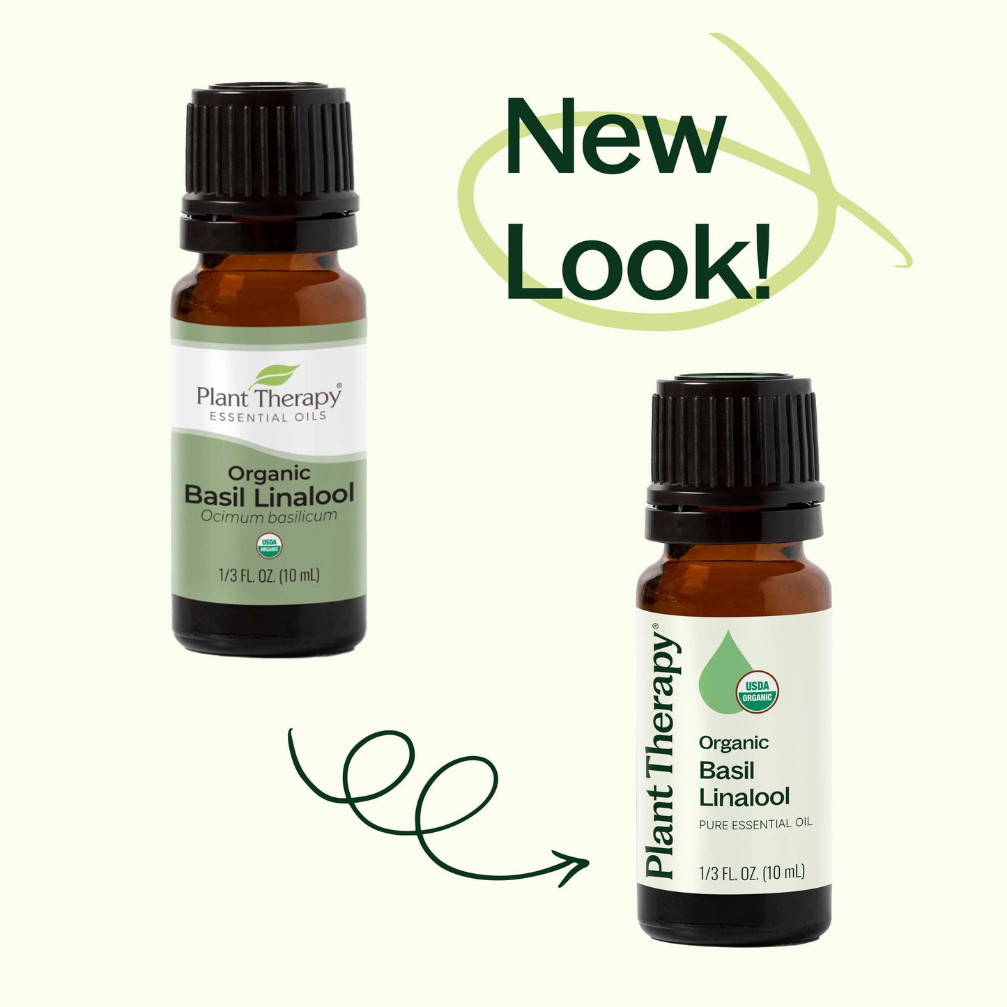 Organic Basil Linalool Essential Oil