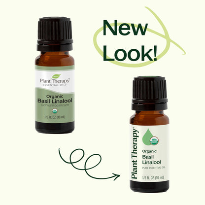 Organic Basil Linalool Essential Oil
