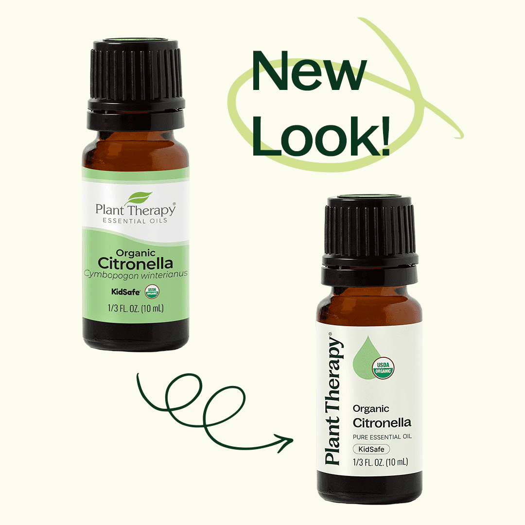 Organic Citronella Essential Oil