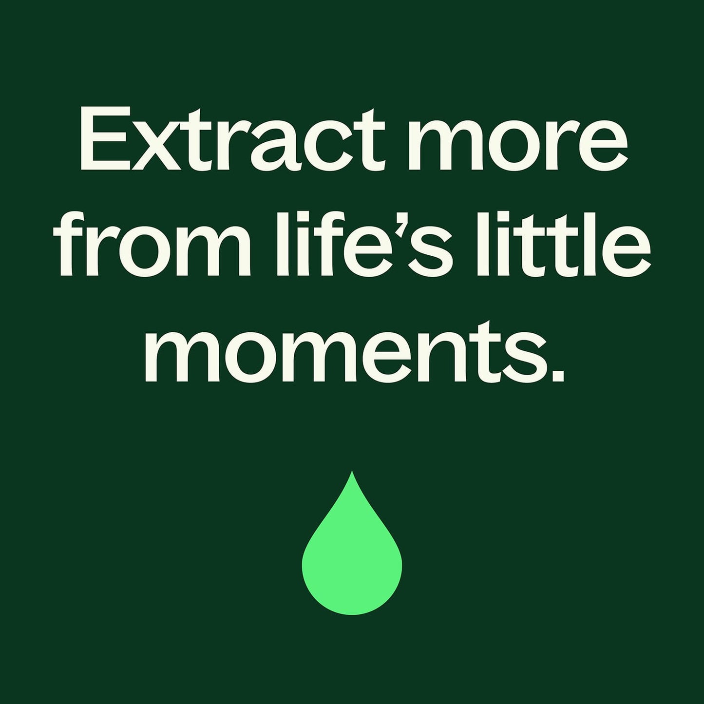 Organic Clove Bud Essential Oil