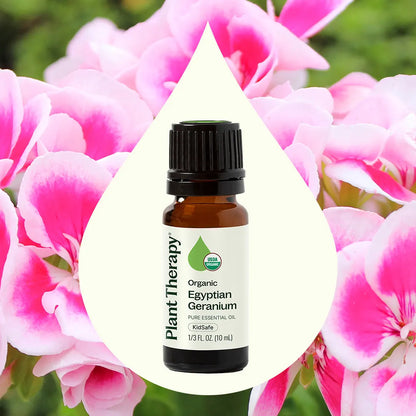 Organic Egyptian Geranium Essential Oil