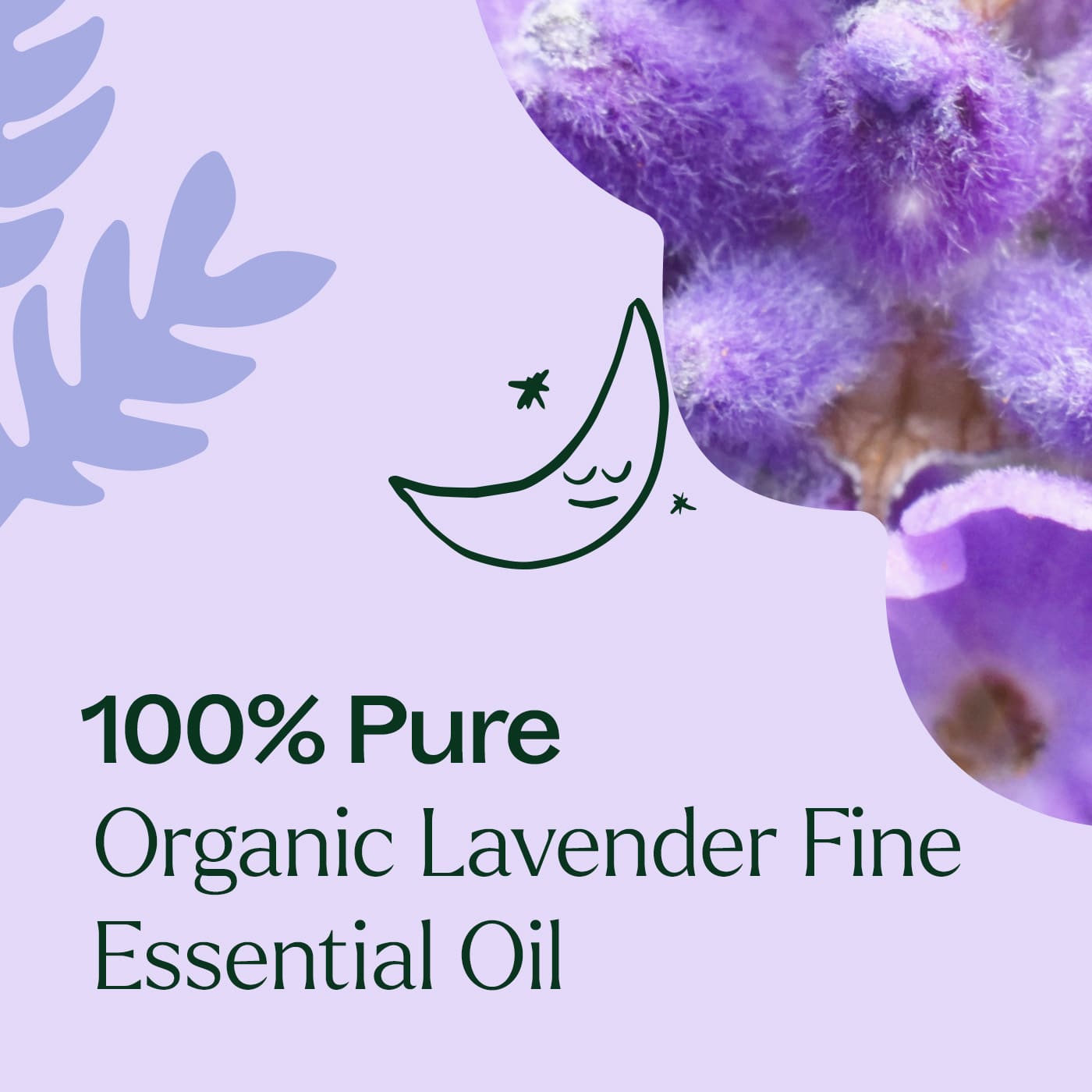 Organic Lavender Fine Essential Oil