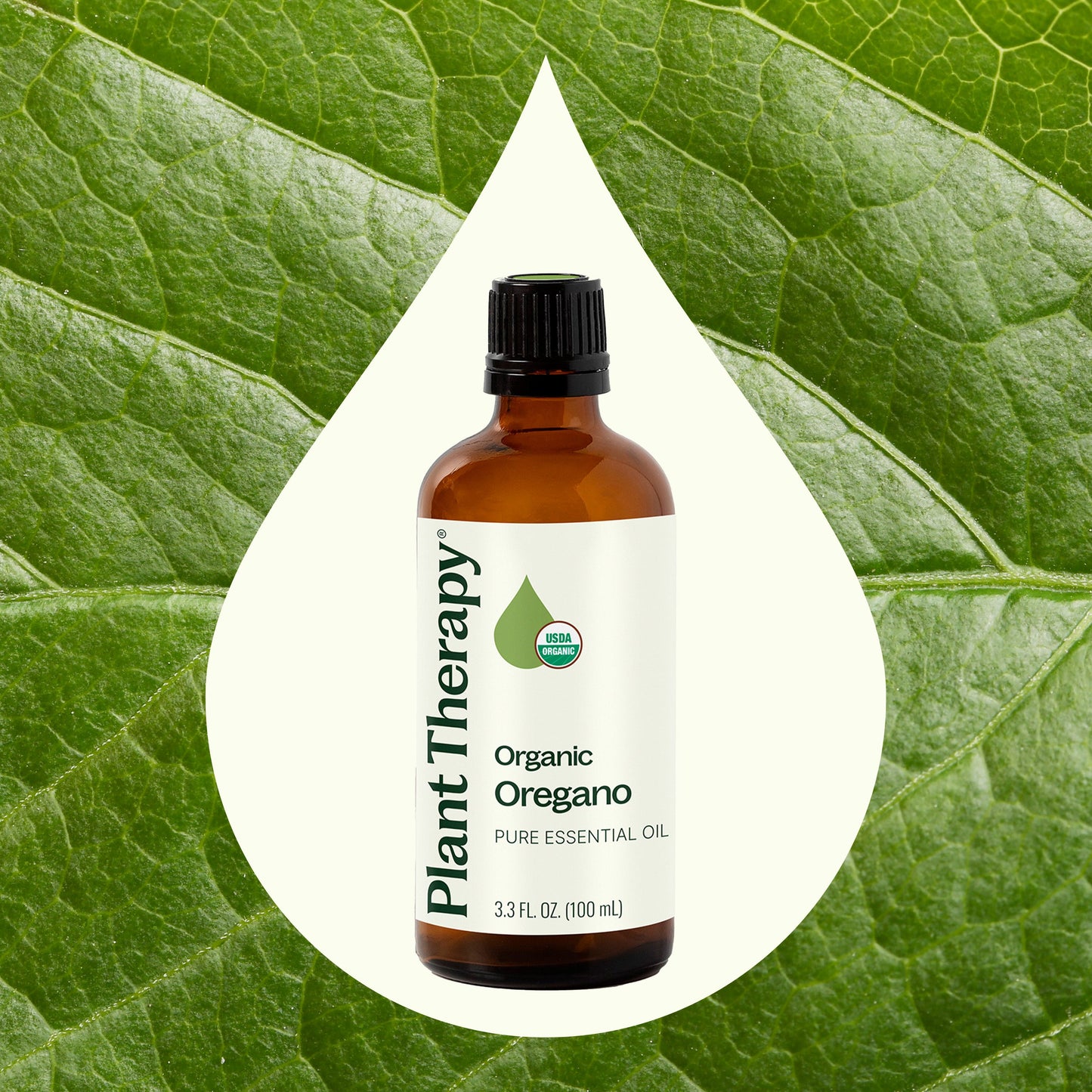 Organic Oregano Essential Oil