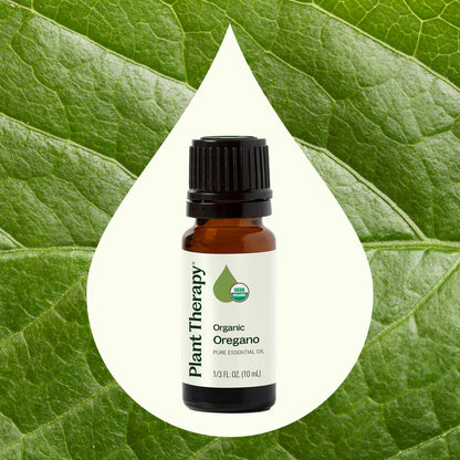 Organic Oregano Essential Oil