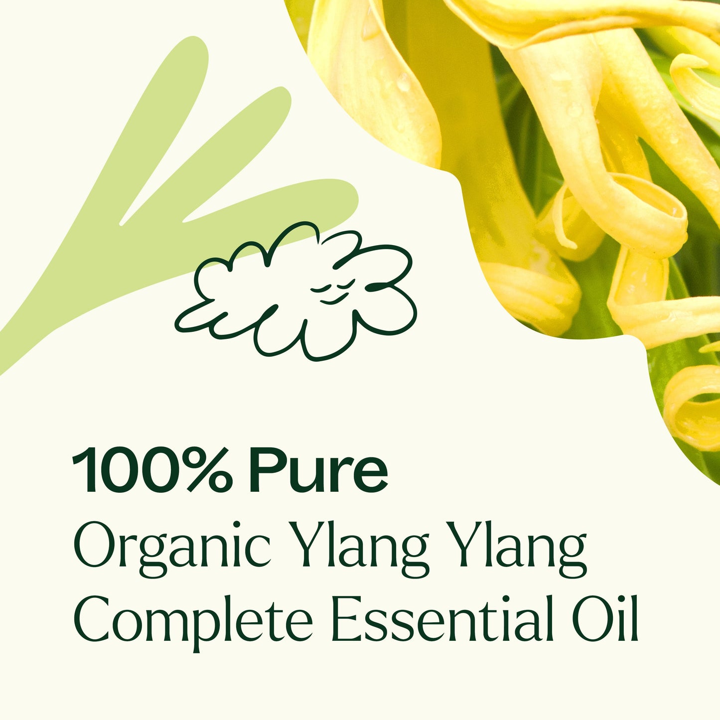 Organic Ylang Ylang Complete Essential Oil