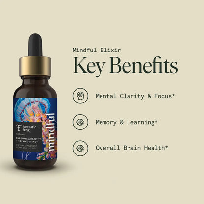Mindful Elixir — Organic Lion’s Mane, Bacopa & Ginkgo Extract