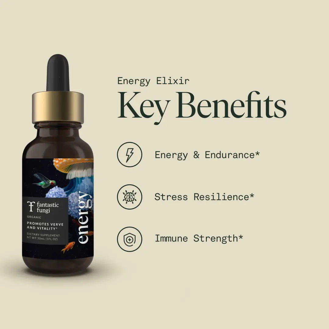 Energy Elixir — Organic Cordyceps, Ginseng, Turkey Tail & Rhodiola Extract