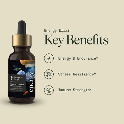Energy Elixir — Organic Cordyceps, Ginseng, Turkey Tail & Rhodiola Extract