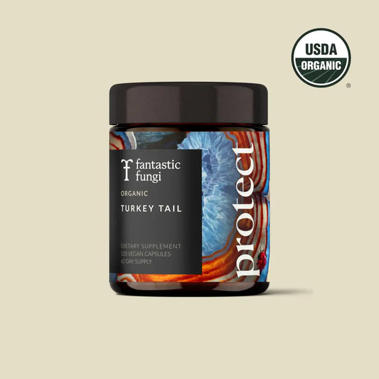 Protect Capsules — Organic Turkey Tail Extract for Immunity & Gut Health