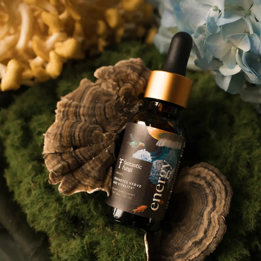 Energy Elixir — Organic Cordyceps, Ginseng, Turkey Tail & Rhodiola Extract