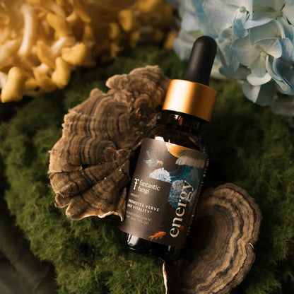 Energy Elixir — Organic Cordyceps, Ginseng, Turkey Tail & Rhodiola Extract