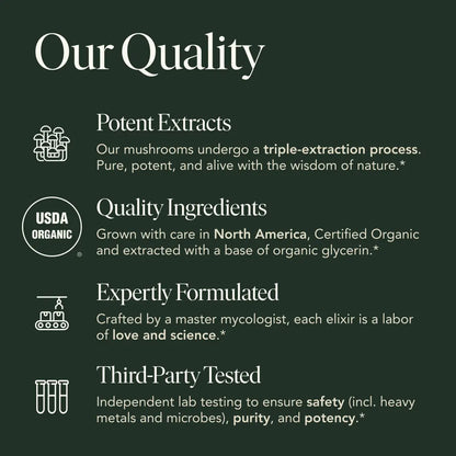 Energy Elixir — Organic Cordyceps, Ginseng, Turkey Tail & Rhodiola Extract