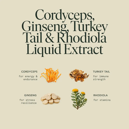 Energy Elixir — Organic Cordyceps, Ginseng, Turkey Tail & Rhodiola Extract