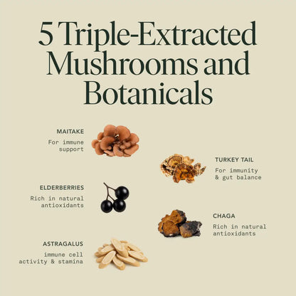 Organic Mushroom Immune Support Elixir | Chaga, Maitake & Astragalus Blend