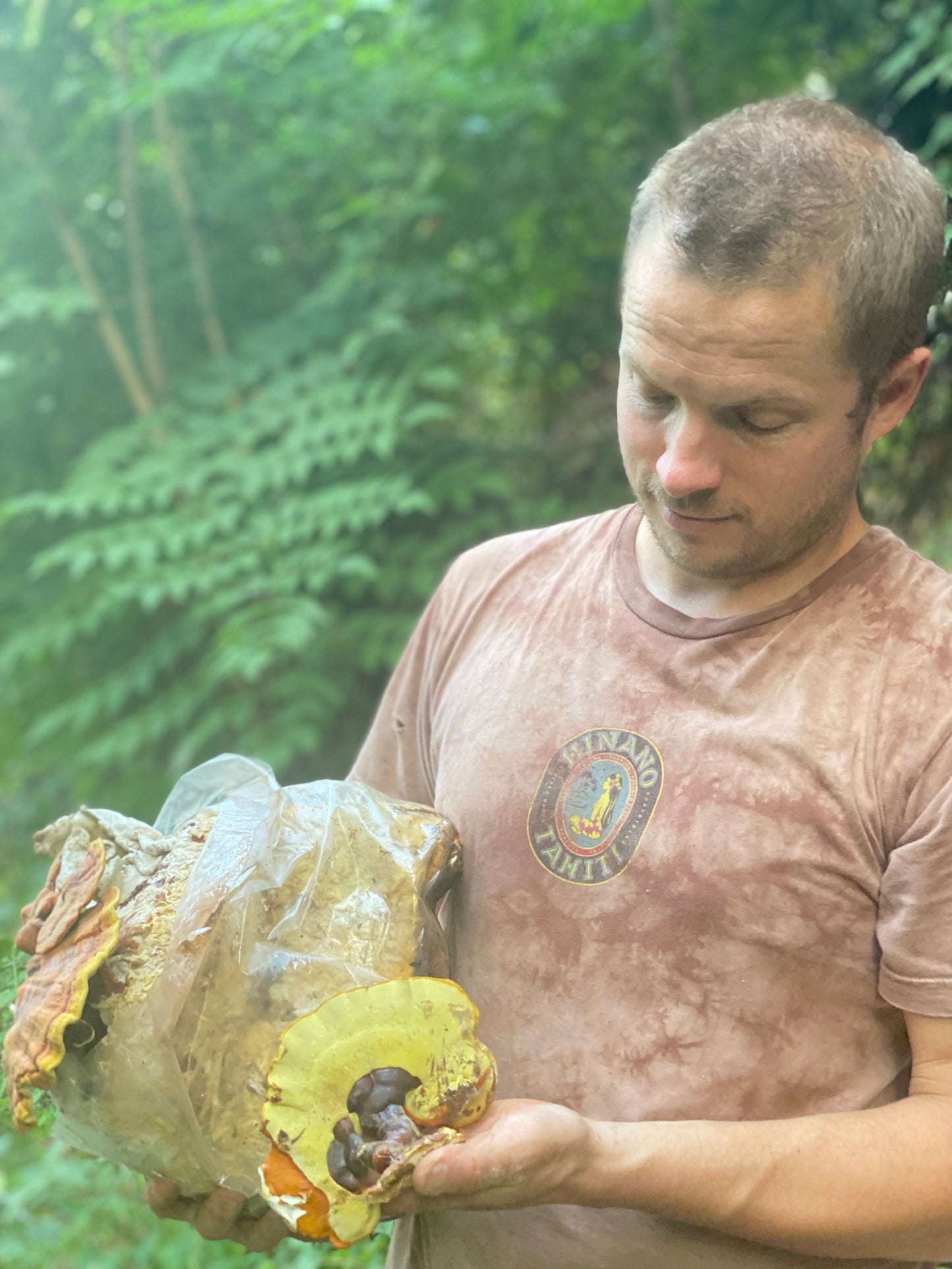 Organic Reishi + Turkey Tail Dual Extract Tincture