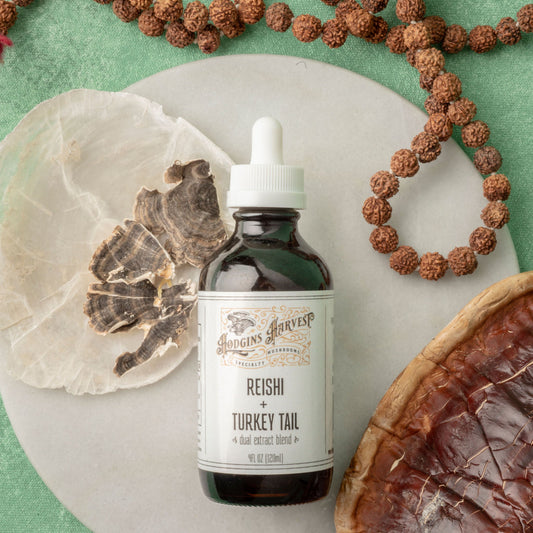 Organic Reishi + Turkey Tail Dual Extract Tincture