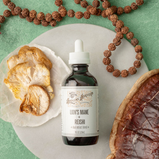 Organic Lion's Mane + Reishi Dual Extract Tincture